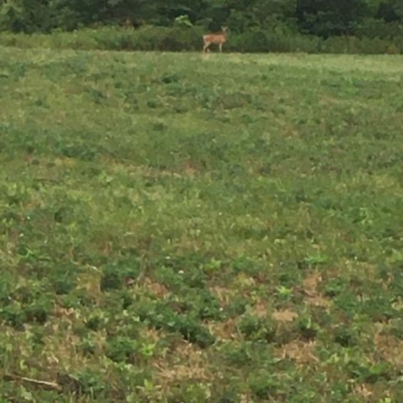 Meet your Posher, Daniel - Picture 1 of 1